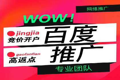 揭秘SEM竞价成功案例，助你提升ROI